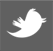 Twitter Icon